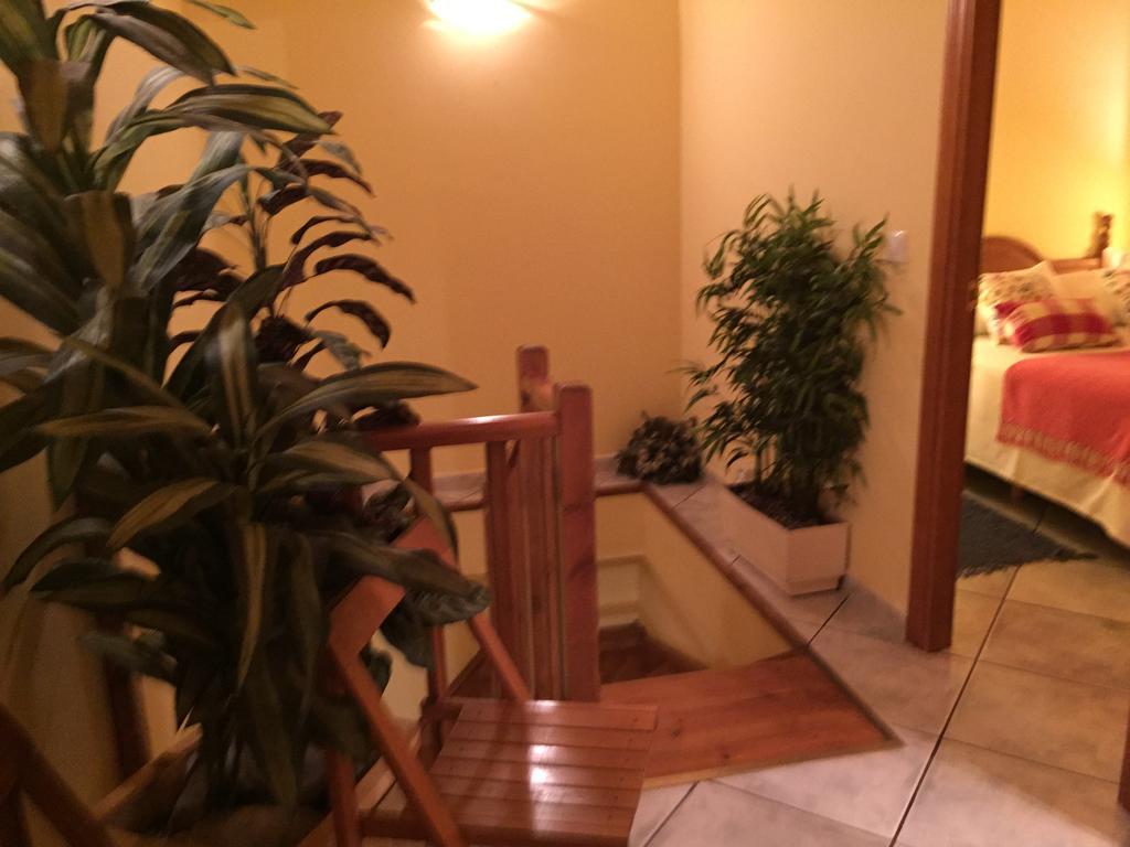 شقة La Fusteria Del Casat Sarroca de Bellera المظهر الخارجي الصورة